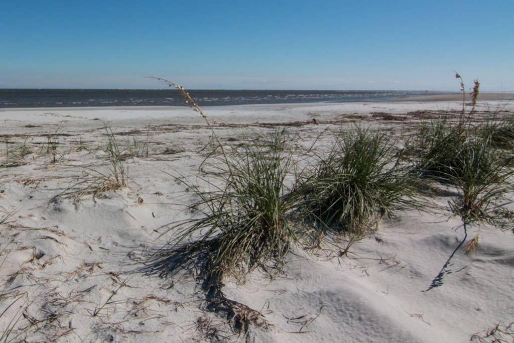 Pelican Point Unobstructed Beach Views Beach Access Out Back Door! Harbor Island Zewnętrze zdjęcie